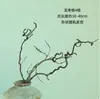 Dátiles de Dragón Secos, Ramas, Troncos de Árbol para Decoración, Garras de Dragón Curvas, Ramas Secas para Arreglos Florales, Arte Wabi-Sabi, Flores Secas Estilo Zen Secadas al Aire