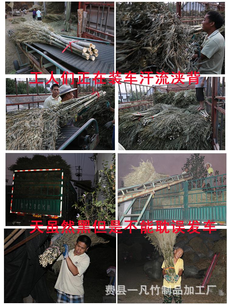 小扫把大号_11.jpg