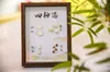 Dibujo de Muestra de Material Colgantes de Pared Adornos Ventana de Exhibición de Salón Chino Planta Pared Tridimensional Pintura Decorativa Hecha a Mano
