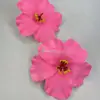 Cabezas de Flor de Hibisco Artificial de Venta Caliente Transfronteriza de Fabricantes, Flores Hawaianas de Gradiente Multicolor, Accesorios para Fotos de Vacaciones en la Playa, Tocados de Flores