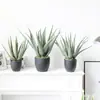 Planta artificial de aloe simulada nórdica, orquídea tigre falsa, suculentas tropicales, decoración para sala de estar interior, adornos para escaparates