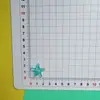 Populares Pegatinas de Estrella de Mar Transparentes 2.0 con Pegamento Crema para Ropa Infantil de Bricolaje, Pinzas para el Cabello, Crocs, Bolsos y Cajas de Almacenamiento