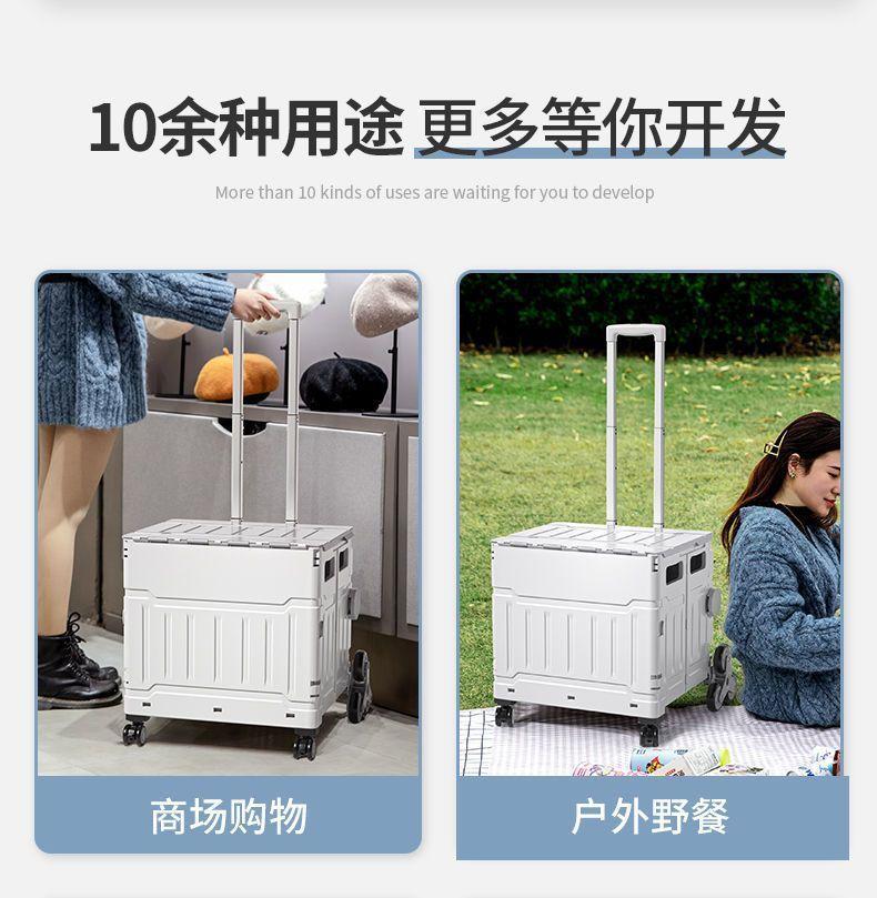 2e311cc0-a8a6-4e40-af0d-00199896ad59.jpe