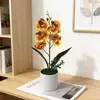 Vaso em formato reto com cinco orquídeas Phalaenopsis artificiais, bonsai para decoração de casa e escritório, arranjo de flores artificiais, cenário para fotografia, ornamento de planta verde