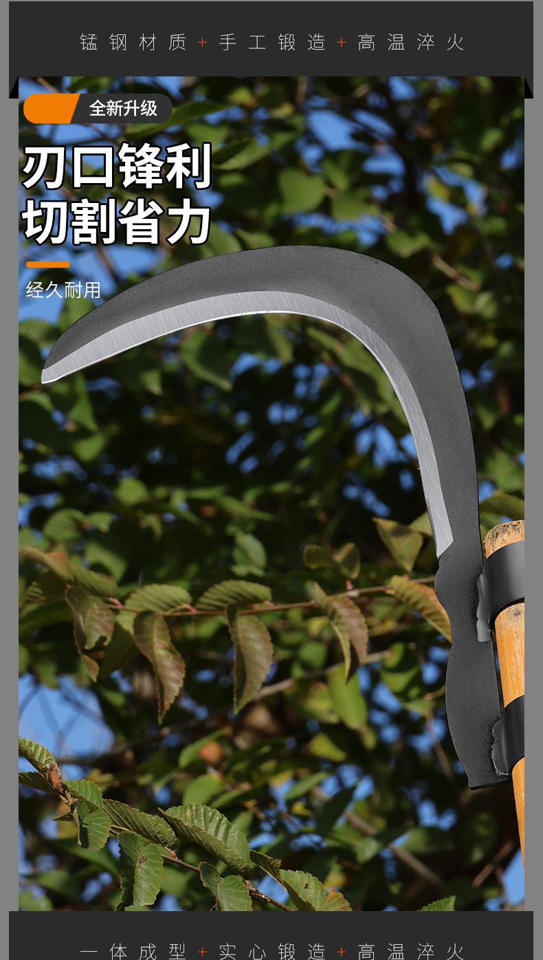 详情_04.jpg