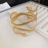 Pulseira Cobra de Metal Europeia e Americana Estilo Frio Duas Cabeças Senso de Alto Padrão Personalidade Pulseira Versátil Anel de Braço de Luxo Leve Transfronteiriço para Mulheres