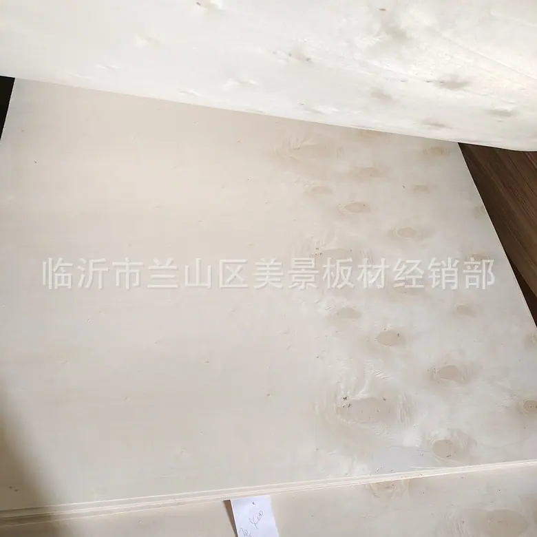 IMG_20220512_113345_副本.jpg