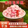 Kimchi de Cebolla Pequeña Perla Cebolla Pequeña Encurtida Vinagre Picante Refrescante Auténtico Sabor de Sichuan Plato Listo para Comer para Comidas Tienda Oficial Principal