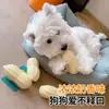 Juguete para mascotas, juguete para perros, juguete para morder, cacahuete chillón, eliminador de aburrimiento para cachorros pequeños y medianos, juguete sonoro de autoentretenimiento