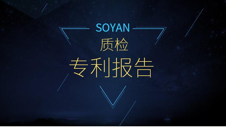 专利质检报告_01