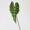 Venta al por mayor de fábrica Guanyin hoja de loto simulación hoja planta material de pared hoja decoración floral hoja de taro super realista