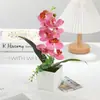 Bonsai Simulado de Phalaenopsis, Enfeites Criativos, Produtos Domésticos da Moda, Flores Artificiais, Flores de Seda Ecológicas, Plantas Verdes, Flores Artificiais em Vasos