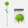 Bola de Pelo Verde Flor Artificial con Hoja Bola de Espina Verde Arreglo Floral Decoración de Paisajismo Piedra Verde Bambú Flor Artificial Planta Artificial Bola de Pelo Verde Artificial