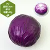 Adereços de vegetais de simulação modelo de vegetal de simulação folhas de alface falsas brócolis repolho adereços de supermercado frutas e vegetais crianças
