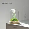 Regalo del Día de la Madre: Adorno de Cúpula de Vidrio Hecho a Mano Tulipán Glaseado Zibo, Planta Eterna Regalo Creativo Al Por Mayor