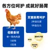 Alimento Completo Aolong Cuidado Sensible para Gatos - Antialergénico, Reduce Alérgenos, Hipoalergénico para Gatitos y Gatos Adultos