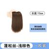Postizo para Aumentar el Volumen, Parche de Cabello Esponjoso, Almohadilla de Cabello sin Costuras de Una Pieza para Espesar las Raíces del Cabello en la Parte Superior y los Lados de la Cabeza