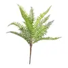 Samambaia mimosa folha de samambaia cauda de leque planta parede decoração macia arranjo de flores material de folha grama artificial galho grande samambaia persa