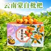 Yunnan Mengzi Membrillo Changhong Membrillo Festival del Membrillo Fresco Regalo Caja de Regalo Para Regalar Compra Grupal Artículos de Año Nuevo Adquisición Empresarial
