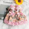 Primavera e Verão Nova Roupa para Animais de Estimação Roupa para Cães Gato Leite Urso Fruta Açúcar Saia Bichon Teddy Cão Pequeno Maxco