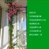 Folhas, galhos, videiras, flores artificiais, trepadeiras, canos, pilares, plantas trepadeiras, plantas verdes, plantas de parede, cobrindo imperfeições, decorações