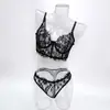 Conjunto de lencería de encaje para pestañas, superventas transfronterizo europeo y americano, sujetador bordado ultradelgado con aros y diseño de ballena, conjunto para mujer