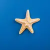 Lindos imanes de nevera de resina con forma de concha y estrella de mar con temática oceánica, pegatinas magnéticas 3D, decoraciones para tablero de agujeros magnéticos
