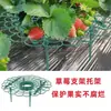 Suporte de Cultivo Estéreo de Morango Suporte de Plantio Quadrado Bandeja de Plantio em Vaso Suporte de Rack Anti-Mofo Suporte de Rack Hidropônico para Morango