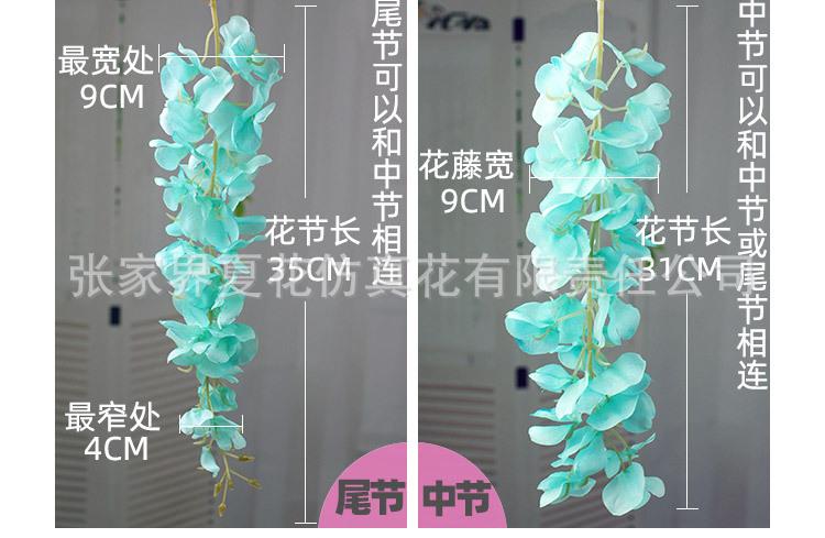 3头豆花紫藤_06.jpg