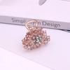 Presilha Pequena Estilo Coreano Cravejada de Diamantes para Franja Lateral Meninas Moda Novo Acessório de Cabeça Criativo Laço Presilha de Cabelo Atacado