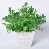Hojas de Eucalipto de Simulación 7 Ramas Malla 35 Pequeños Adornos en Maceta Flor Artificial Blanco Escarchado Hojas de Dinero Material para Pared de Plantas