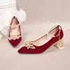 Zapatos de Novia Nuevos Primavera y Otoño 2024 Tacones Altos Punta Fina Tacón Grueso Boca Baja Correa Única Zapatos de Boda para Mujer