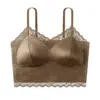 Camisola Sexy de Encaje Transfronteriza Más Vendida para Mujer con Copas Fijas, Capa Interior de Satén, Transpirable, Sensación de Piel, Push-Up, Sujetador Anticaída