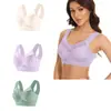 Conjunto de 3 Piezas Transfronterizo Talla Grande Sin Alambres Chaleco de Encaje Ropa Interior Delgado Recoge Lado Pecho Push-Up Sujetador Ajustable Fabricante