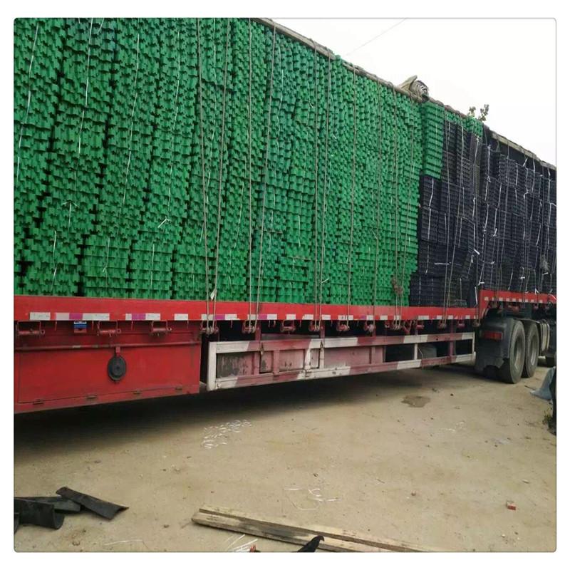 ec36ede18b8b758c21120e1ad6e119