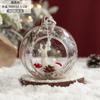 Bola navideña de alce de Papá Noel, bola de cristal transparente, adorno para árbol de Navidad, bola colgante, suministros de decoración navideña