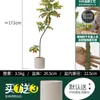 Habitat de folha de glicínia planta verde artificial alto padrão luxo leve interior sala de estar chão árvore falsa biônica planta em vaso