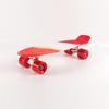 Patinetas Coloridas de 22 pulgadas, Patinetas de Cuatro Ruedas, Patineta de Envío Directo, Patinetas de Cámara Única, Venta al por Mayor Transfronteriza