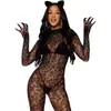 Meias arrastão sexy vazadas de peça única transfronteiriças europeias e americanas, Lingerie erótica para mulheres, Meias transparentes jacquard com abertura entre as pernas, Sedutoras
