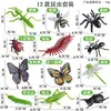 Modelo de animal inseto simulado ciência cognitiva e educação infantil Mini animal pequeno mosquito Formiga ciclo de crescimento brinquedo