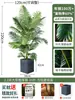 Palmera Areca Artificial Grande de Lujo de Gama Alta, Planta Verde, Árbol Falso, Planta de Bambú Cola de Fénix para Decoración de Paisajismo Tropical de Interiores