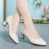 Zapatos de Cuero Suave Suela Suave Zapatos Individuales para Mujer Tacón Medio Zapatos de Mujer para el Trabajo Zapatos Profesionales Zapatos de Madre Primavera y Otoño Zapatos de Cuero Negro para Mujeres de Mediana Edad