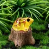 Micro-Paisagem Criativa Sapo Sapo Sapos Mini Enfeites DIY Paisagismo Aquário Acessórios de Decoração