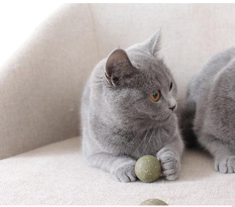 猫薄荷球7.jpg