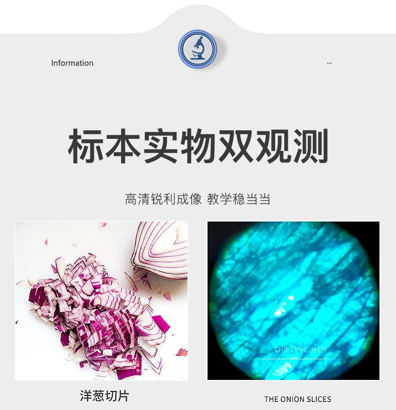 显微镜详情-绿紫_14.jpg
