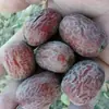 Dátiles rojos secados al sol de Xinjiang, dátiles grises secados al sol al por mayor, dátiles grises de Ruoqiang sin limpiar y sin procesar, bocadillos de fruta seca