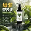 Solução Nutritiva Hidropônica de Jiboia Amarelamento das Folhas Fertilizante Folhas Secas Uma Borrifada Amarelamento Verde Raízes Podres Líquido Especial para Brotação