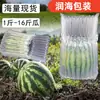 Saco de Coluna de Ar Melancia Saco de Coluna de Bolha Anticolisão Antiqueda Antichoque Embalagem para Transporte de Frutas Saco de Embalagem de Coluna Inflável Atacado