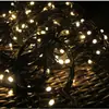 Luces navideñas para venta al por mayor pequeñas con luces Luces navideñas decorativas 110V Luces de Navidad