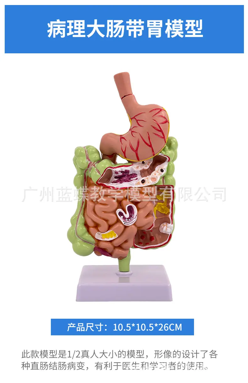 详情26